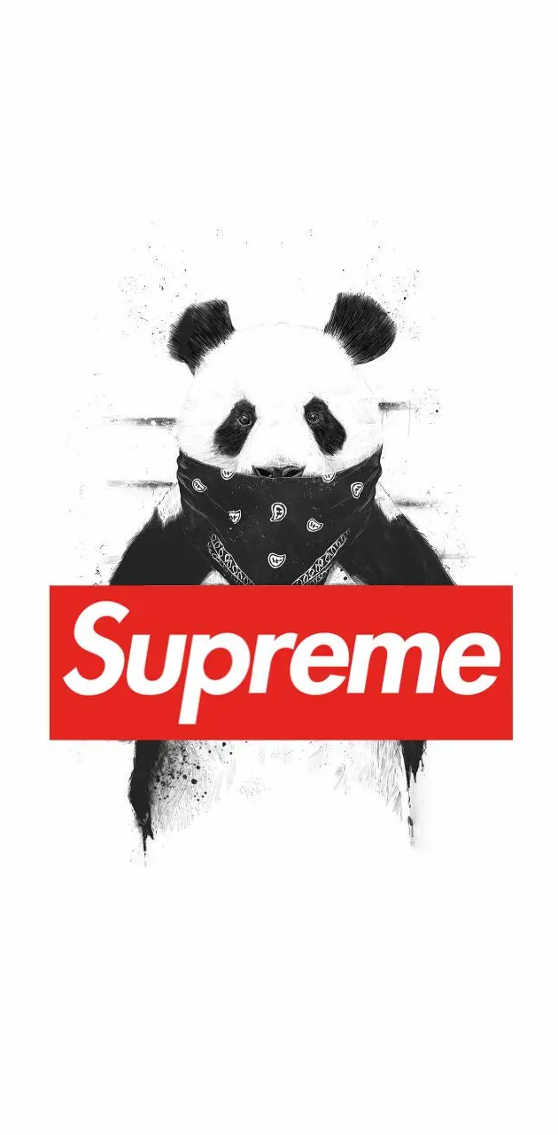 Supreme, bear, bears, brand, panda, white, HD phone wallpaper