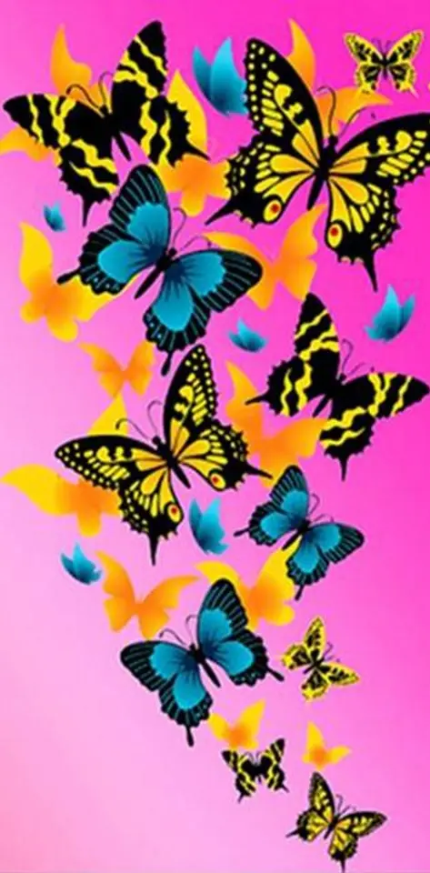 Butterflies On Pink