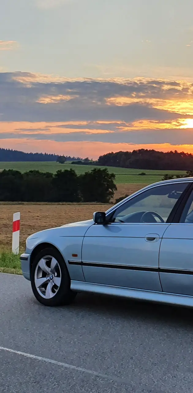 BMW E39 sun
