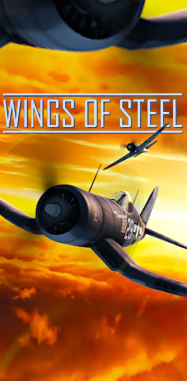 Wings of Steel Combat