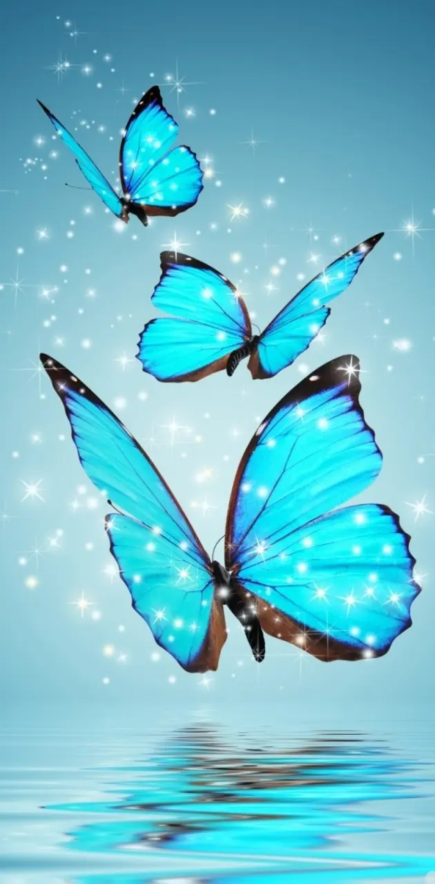 butterflys  3