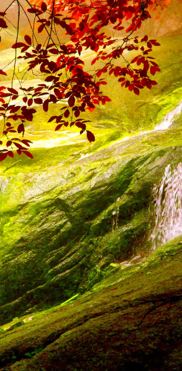 Nature Waterfalls