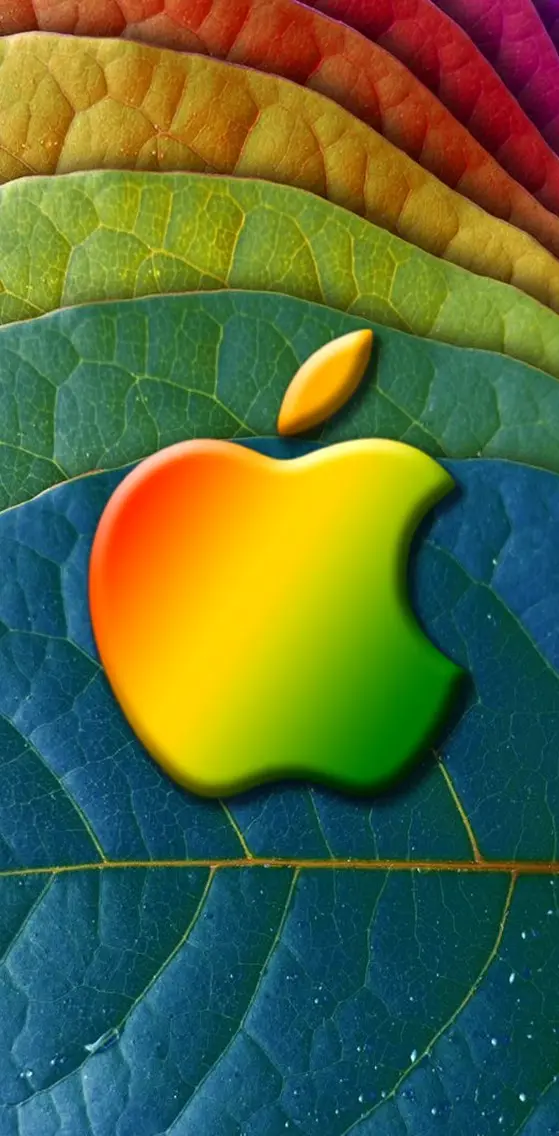 apple on a leaf