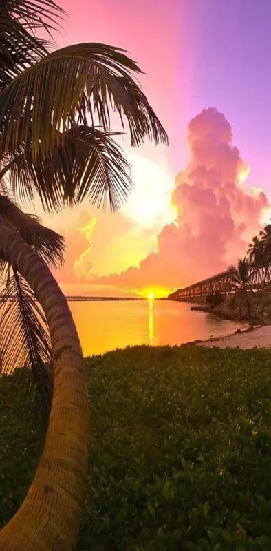 TropicalBeach Sunset