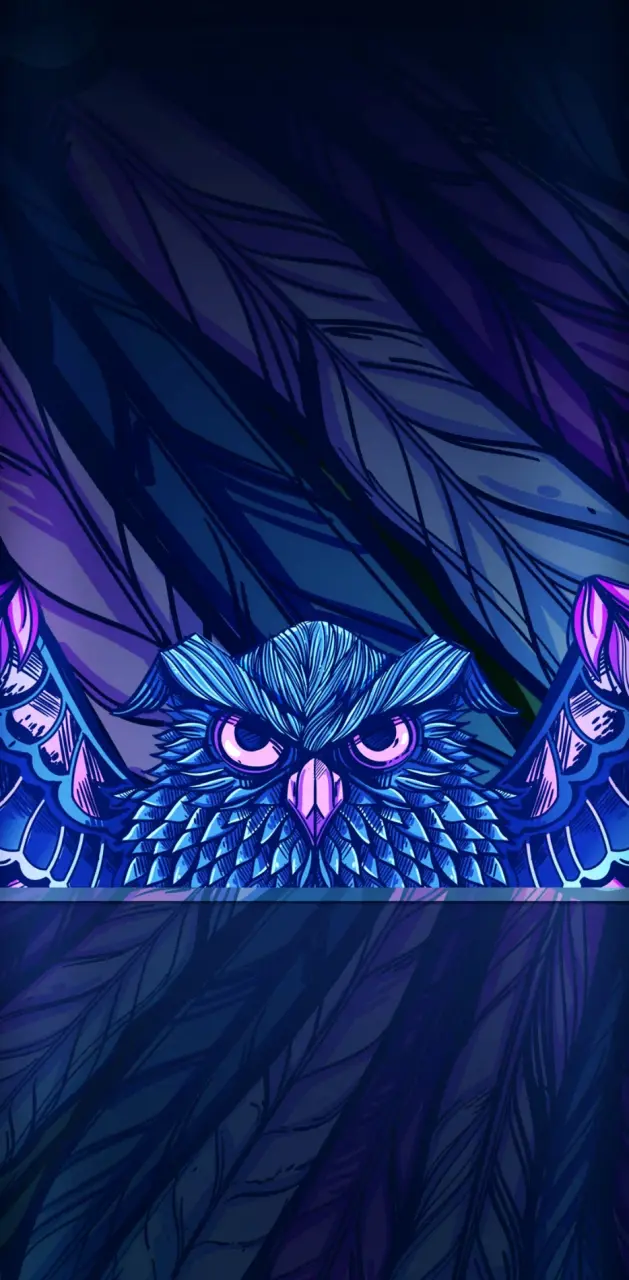 Mysterious Owl
