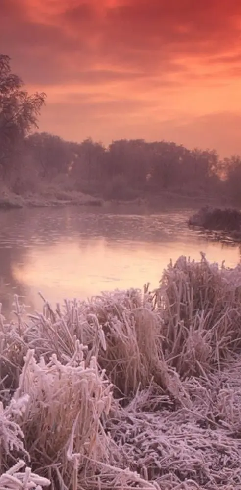 River Avon In Winter