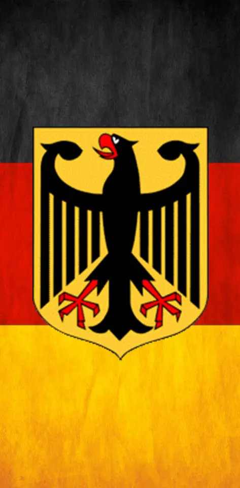 Dfb Germany