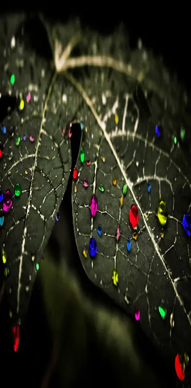 Colorful drops Leaf