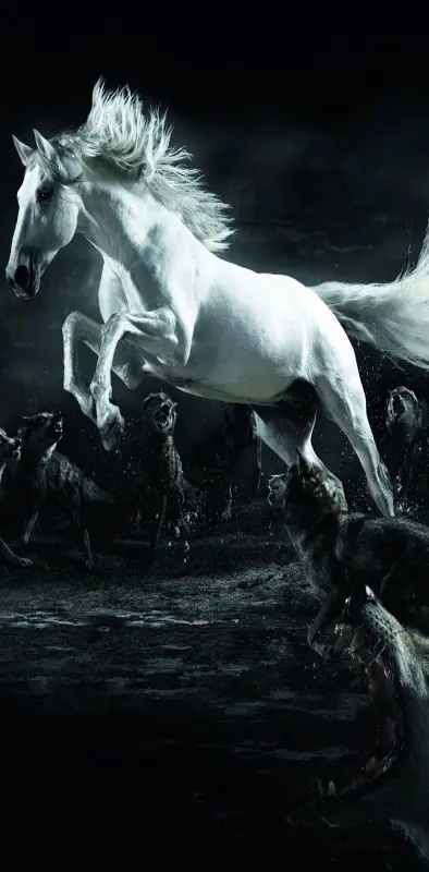 White Horse Hd0