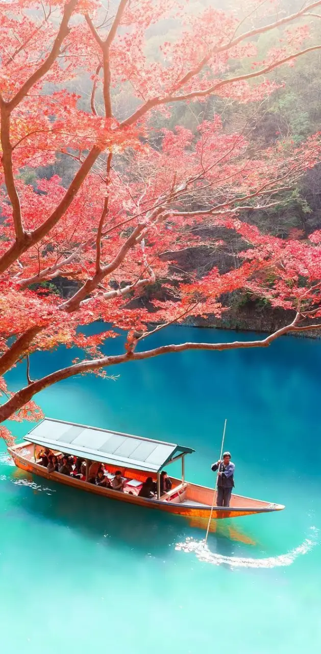 Japan Nature