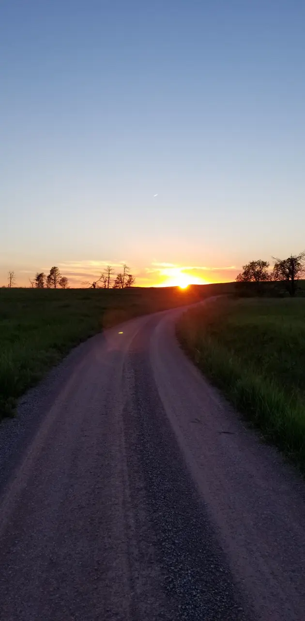 Sunset roadT