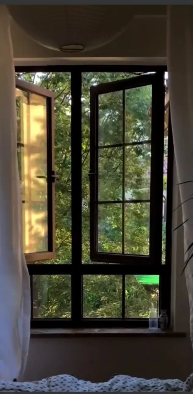 Room Window - aJ
