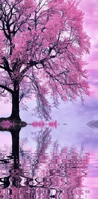 Pink Tree Reflection