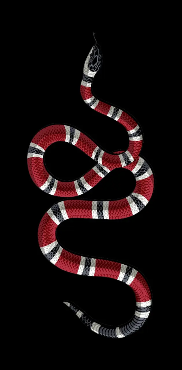 Gucci:: Tons of awesome Gucci snake wallpapers to download for