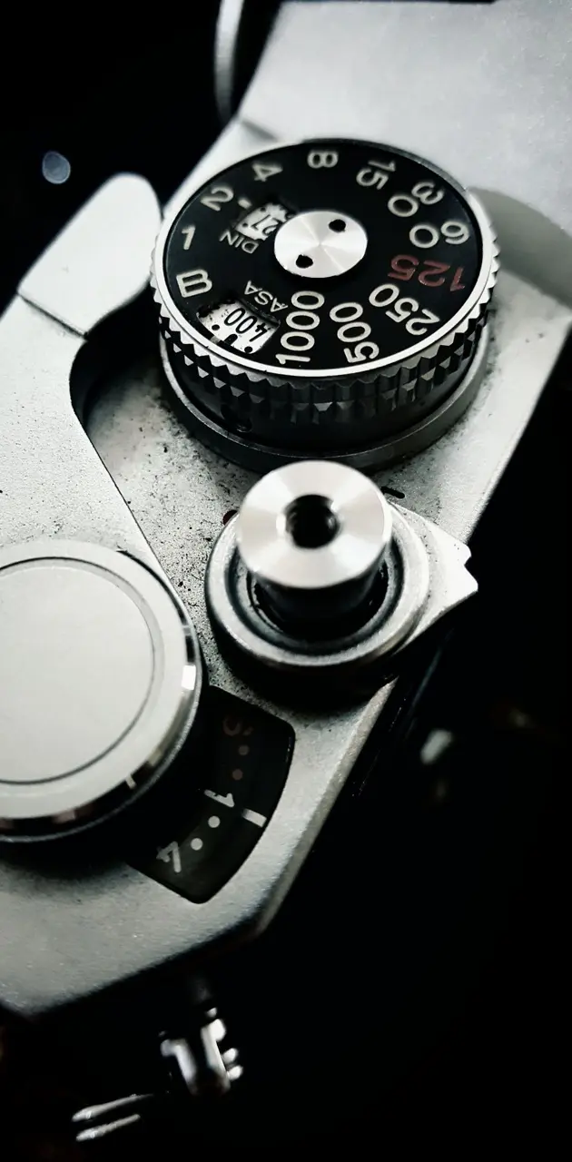 Analog Camera