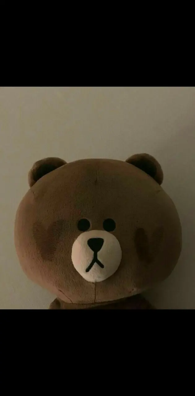 brown teddy
