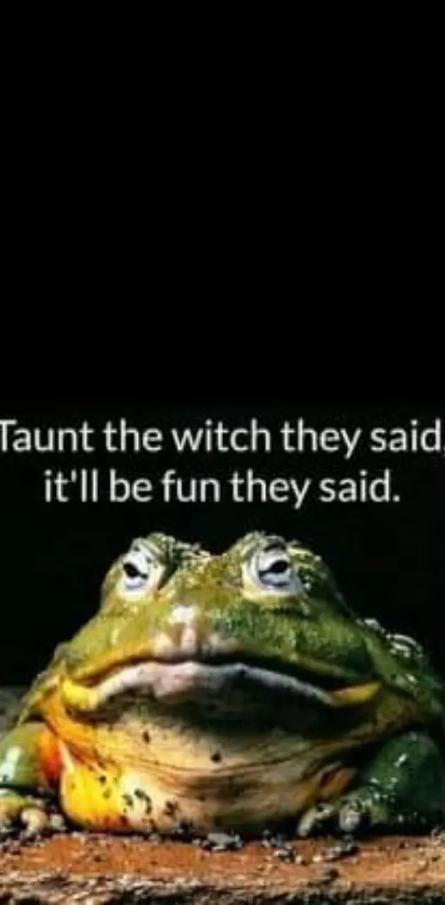 Witchy Toad Quote