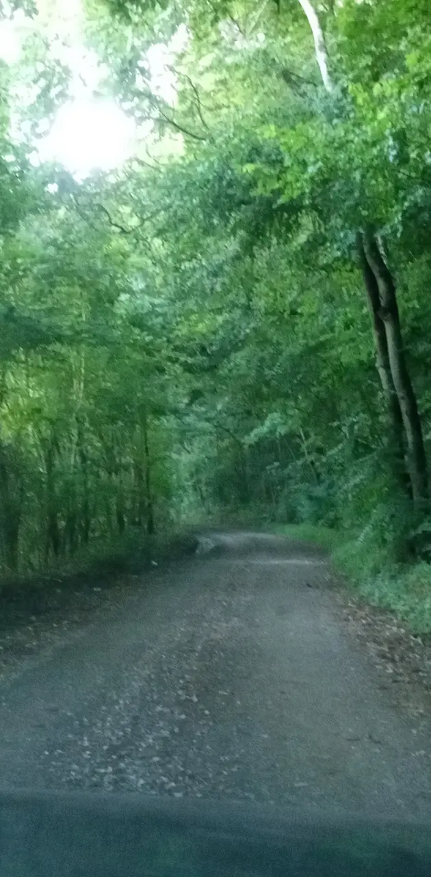 Tennessee back roads