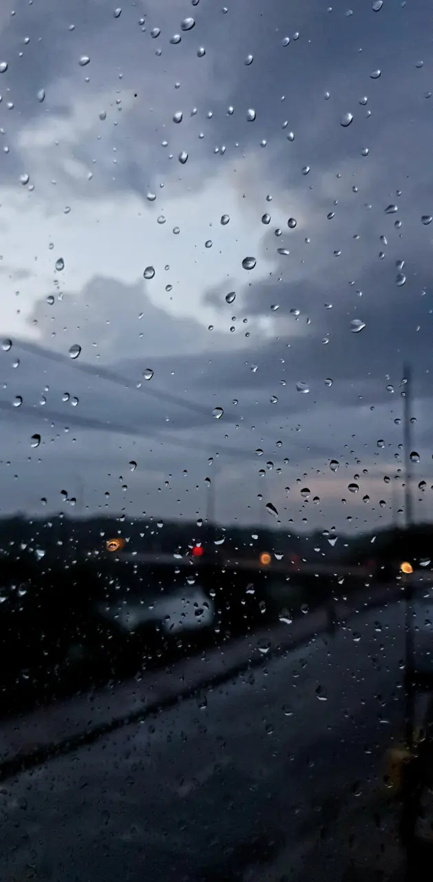 The rain 