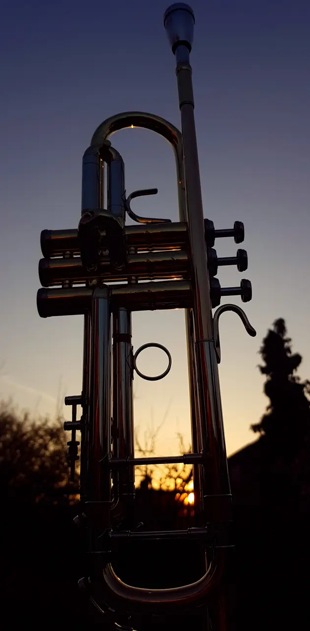 Trumpet Wallpaper wallpaper by Emanuel2905 - Download on ZEDGE™ | e3c9