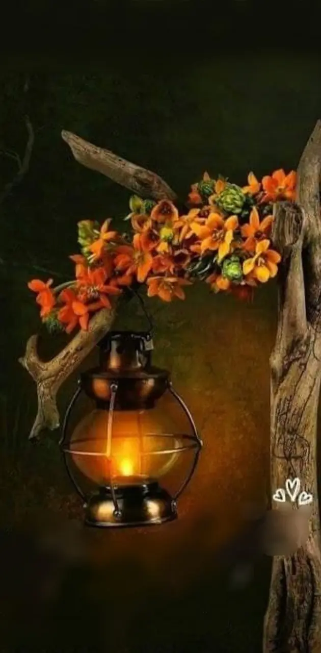 Lantern in tree