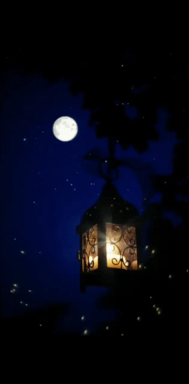 Lantern by moonlight