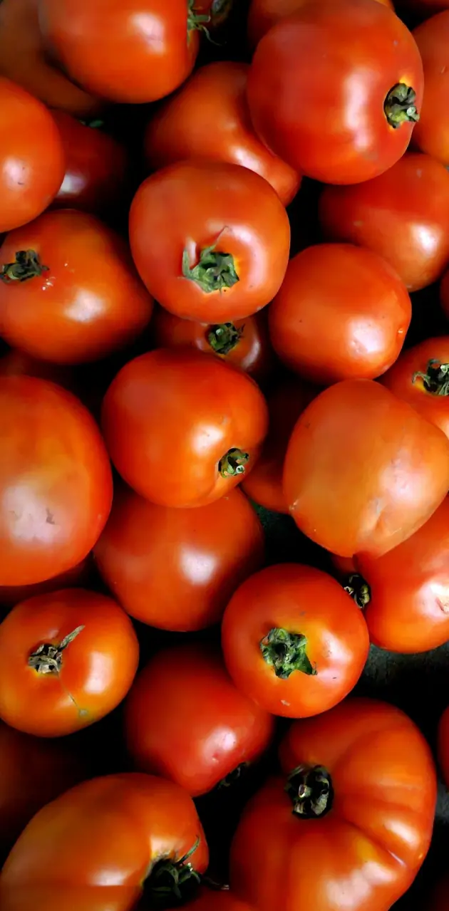 Colorful Tomato