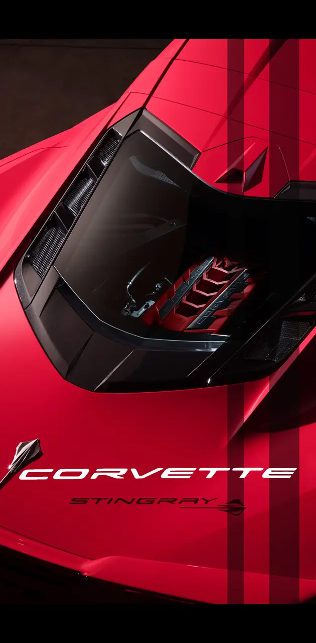 Stingray Corvette 3