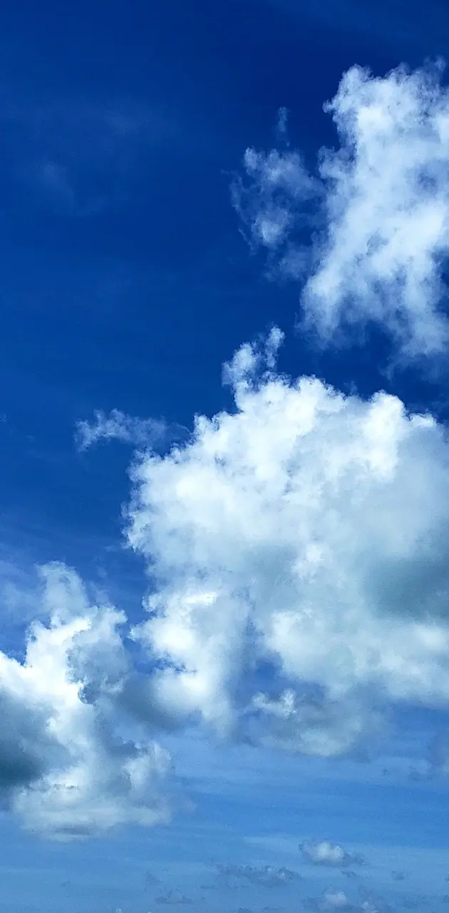 Florida blue skies
