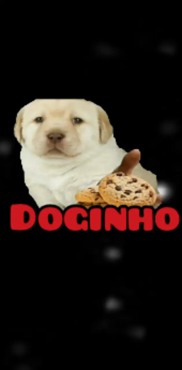 Doginho