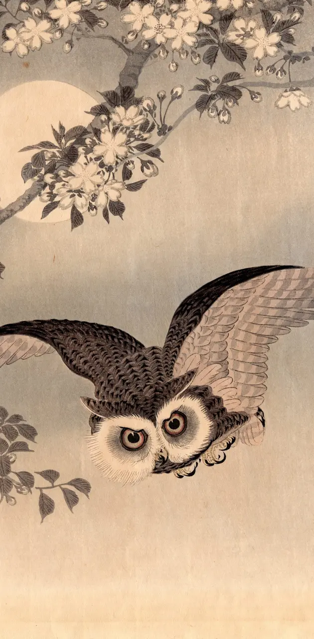 Japanese art owl