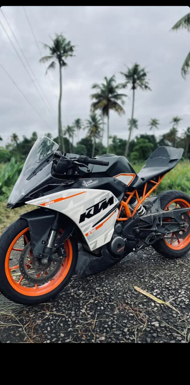 Rc390 bs3