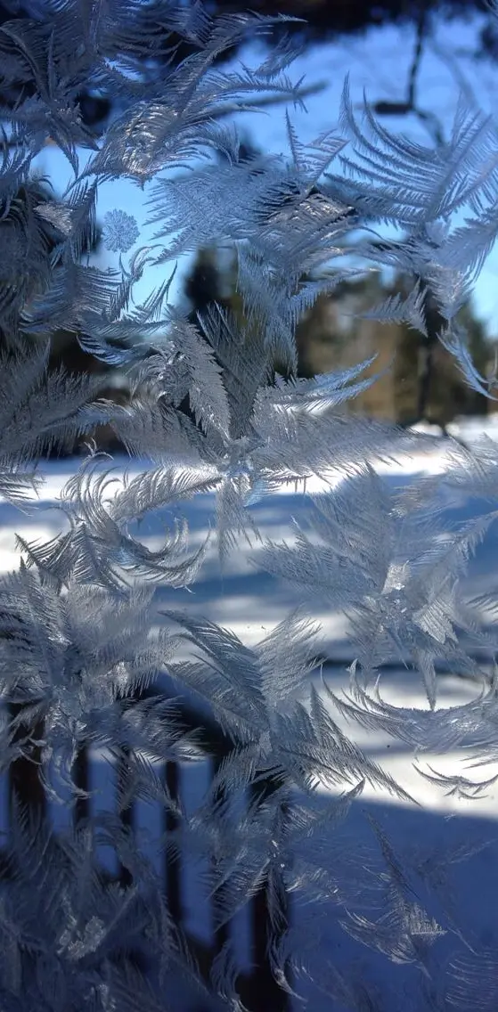 Icy Window