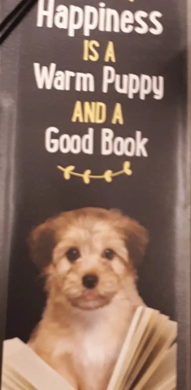 Puppies and Books 