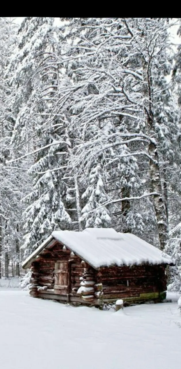 Snowy Cabin