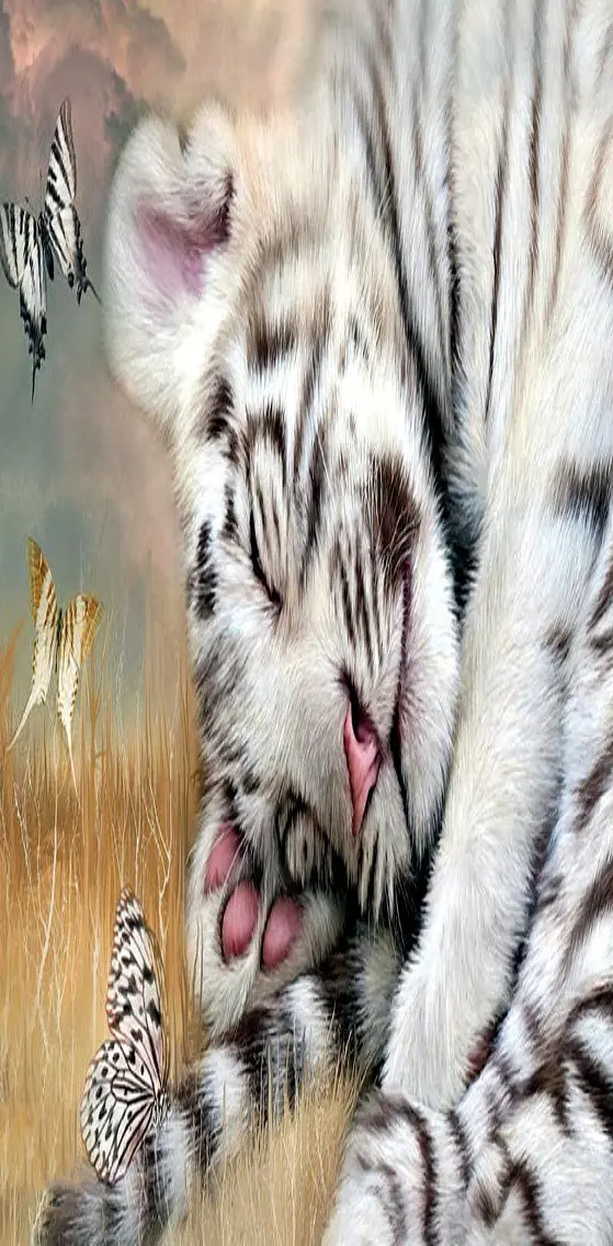 White   Tiger
