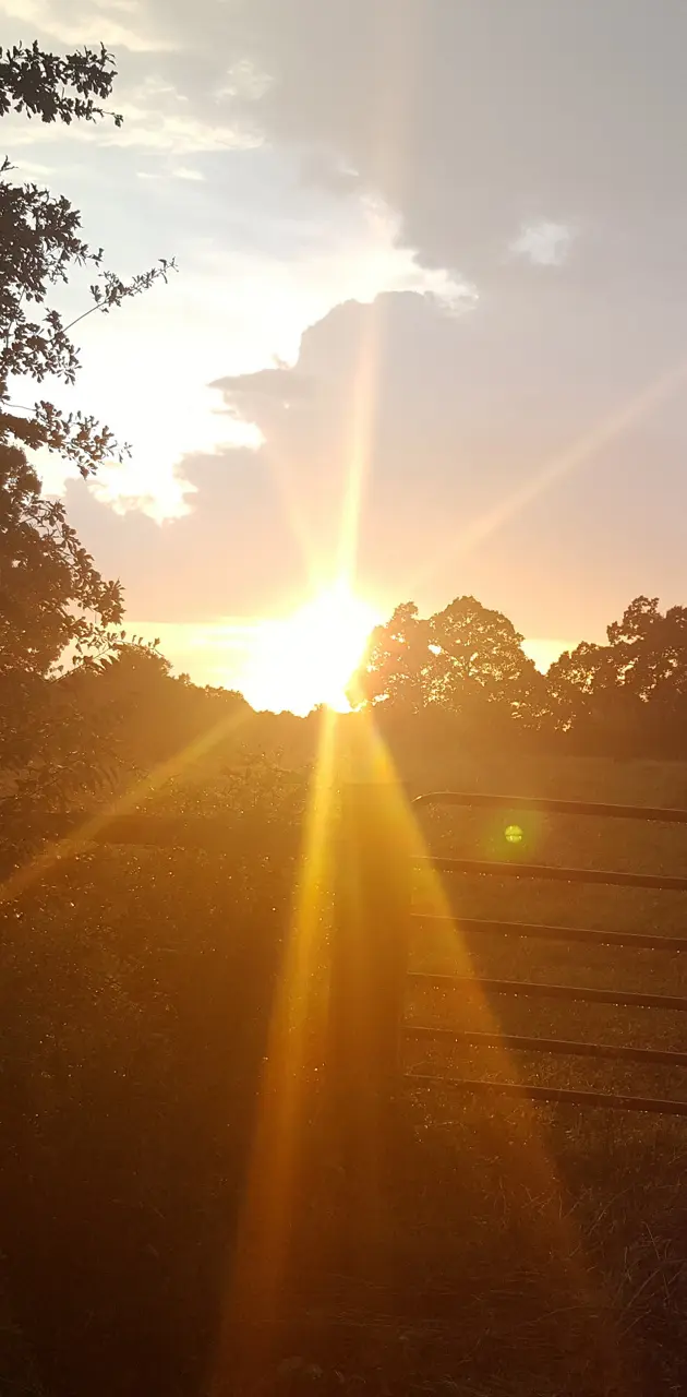 Georgia Sunset
