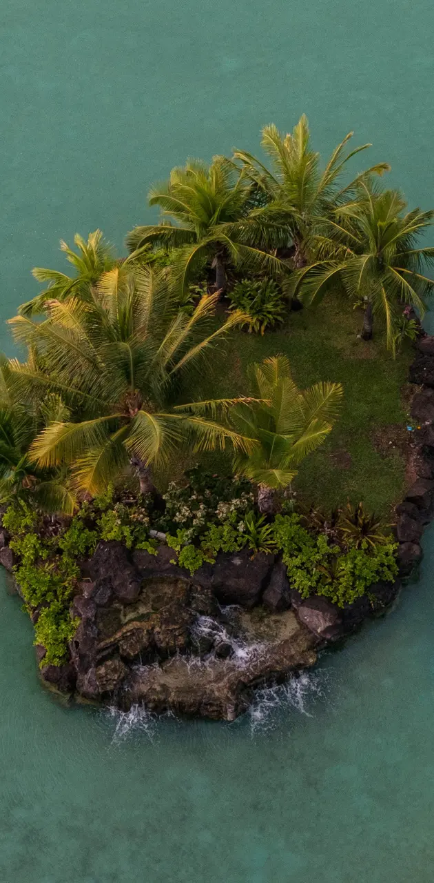 Hawaiian Island