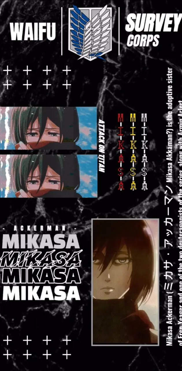 Mikasa AOT