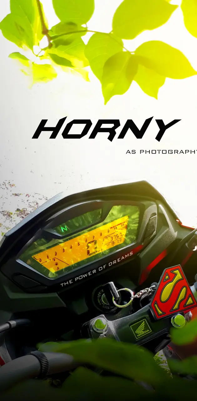HornyHornet93 