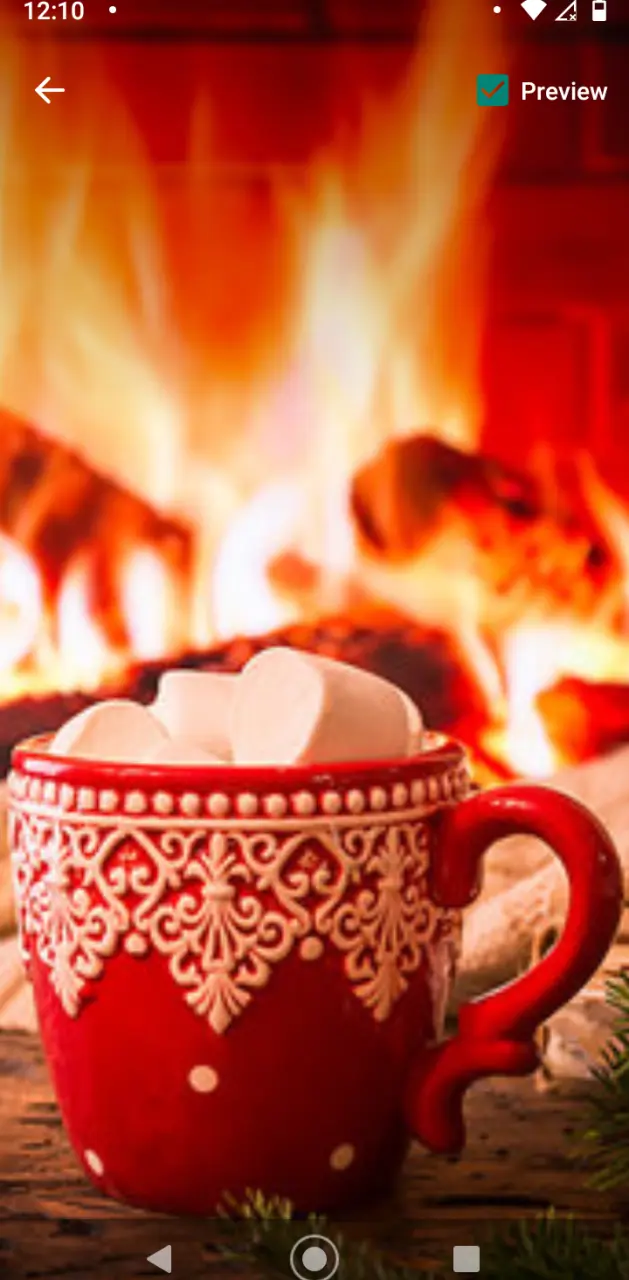 Winter cup of cocoa