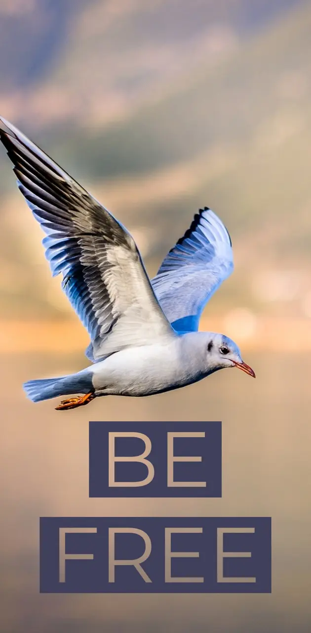 Be free like a bird