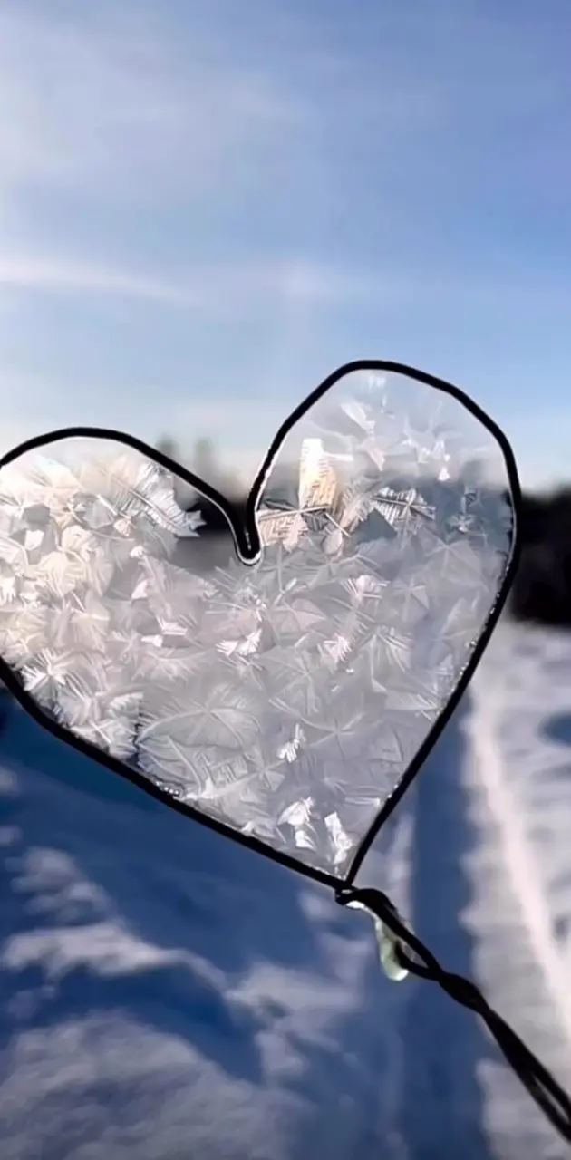 Buz kalp