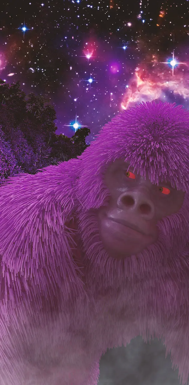 Gorila roxo matue