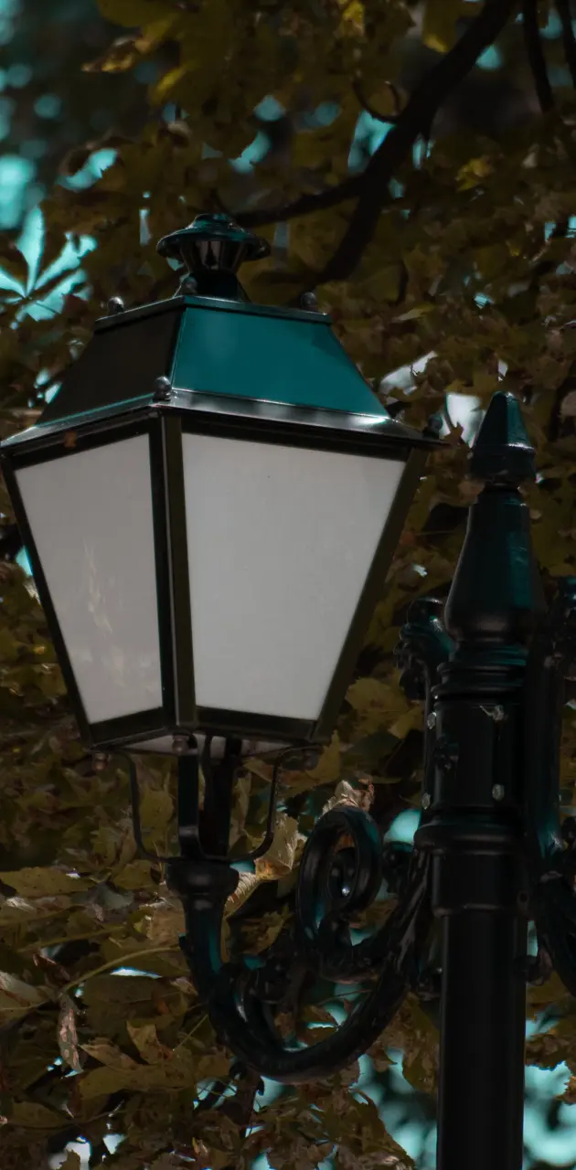 park lamp