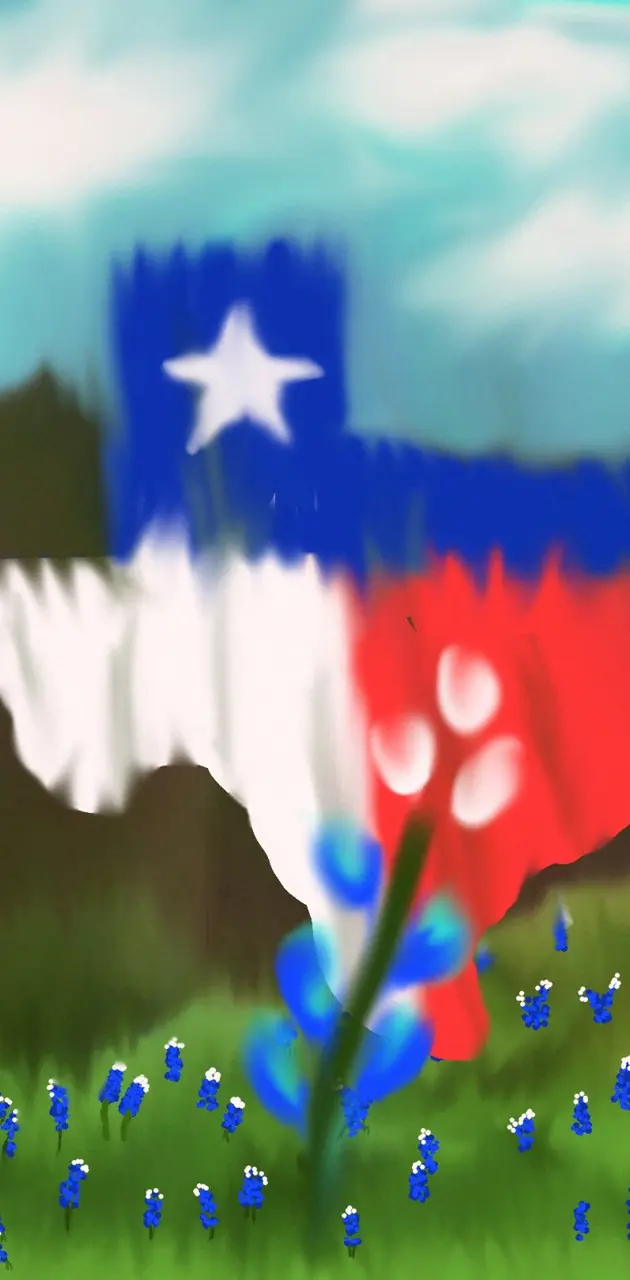 The Bluebonnet State