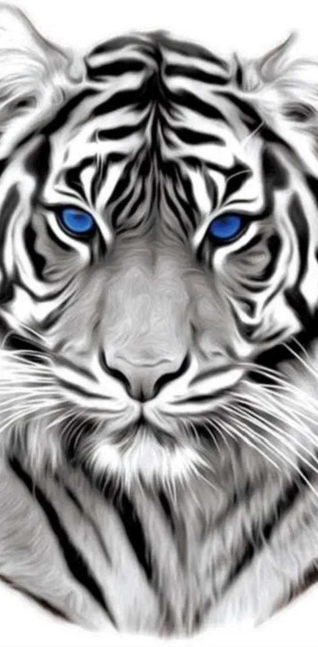 White Tiger Blue eyes