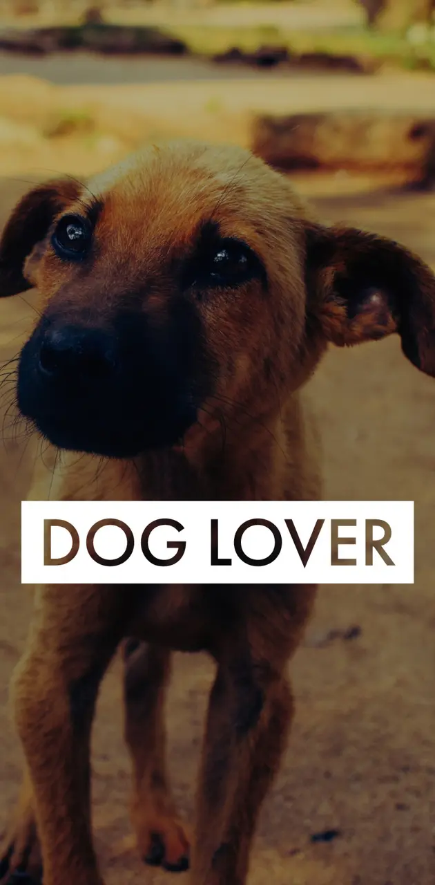 DOG LOVER