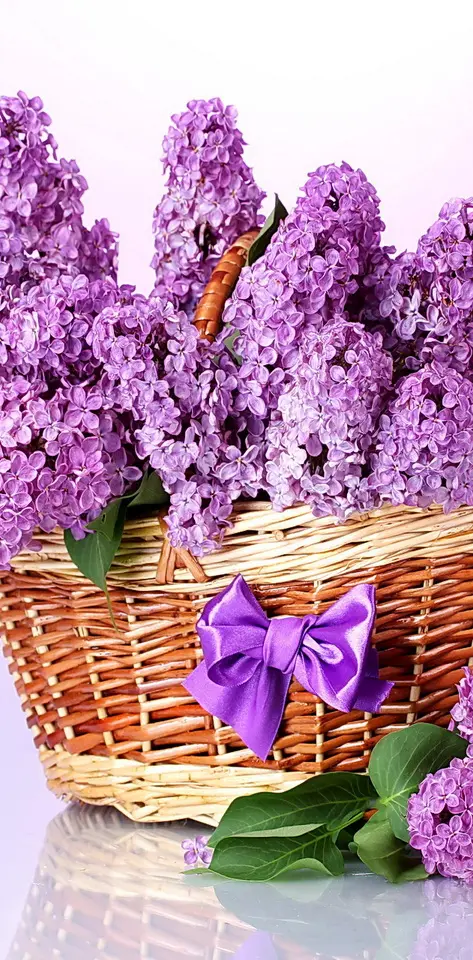 Basket Of Lilacs
