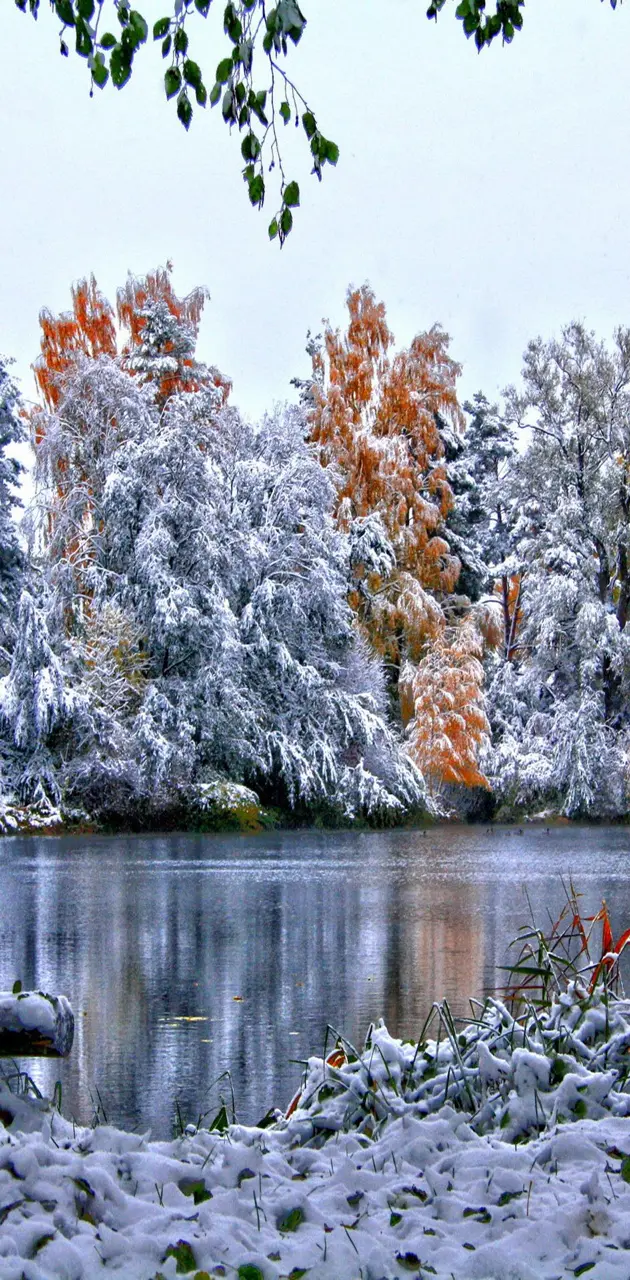 Winter lake
